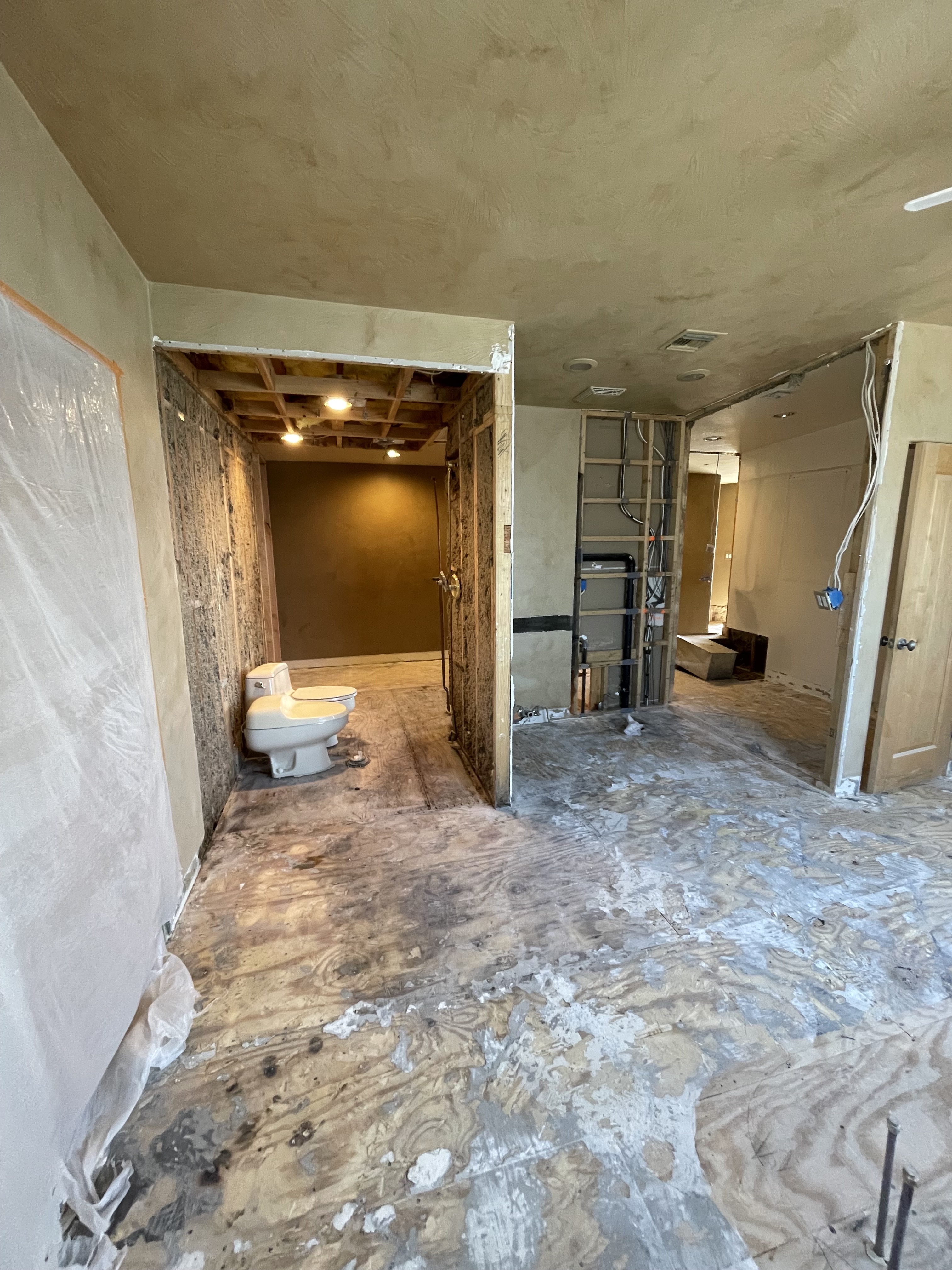 Master bathroom fully gutted